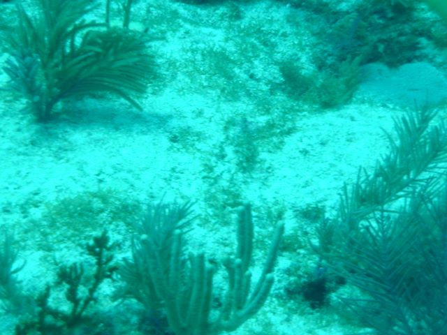 dsc00176