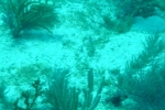 dsc00176