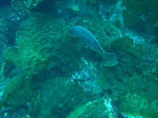 dscn1184
