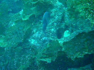 dscn1185