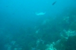 dscn1189